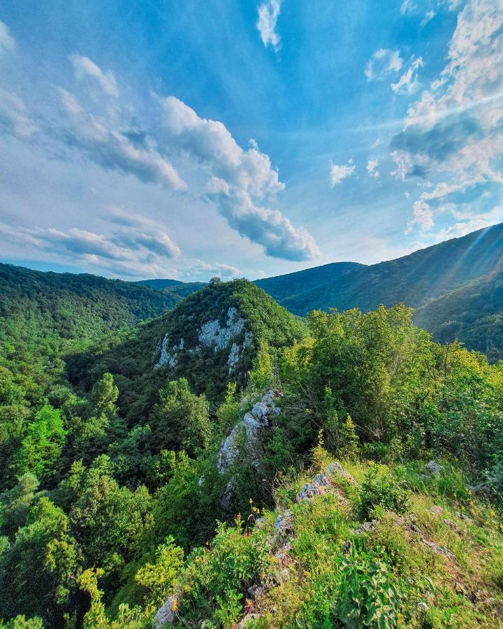 Отель Restoran Sa Prenocistem Gornjak Krepoljin Экстерьер фото