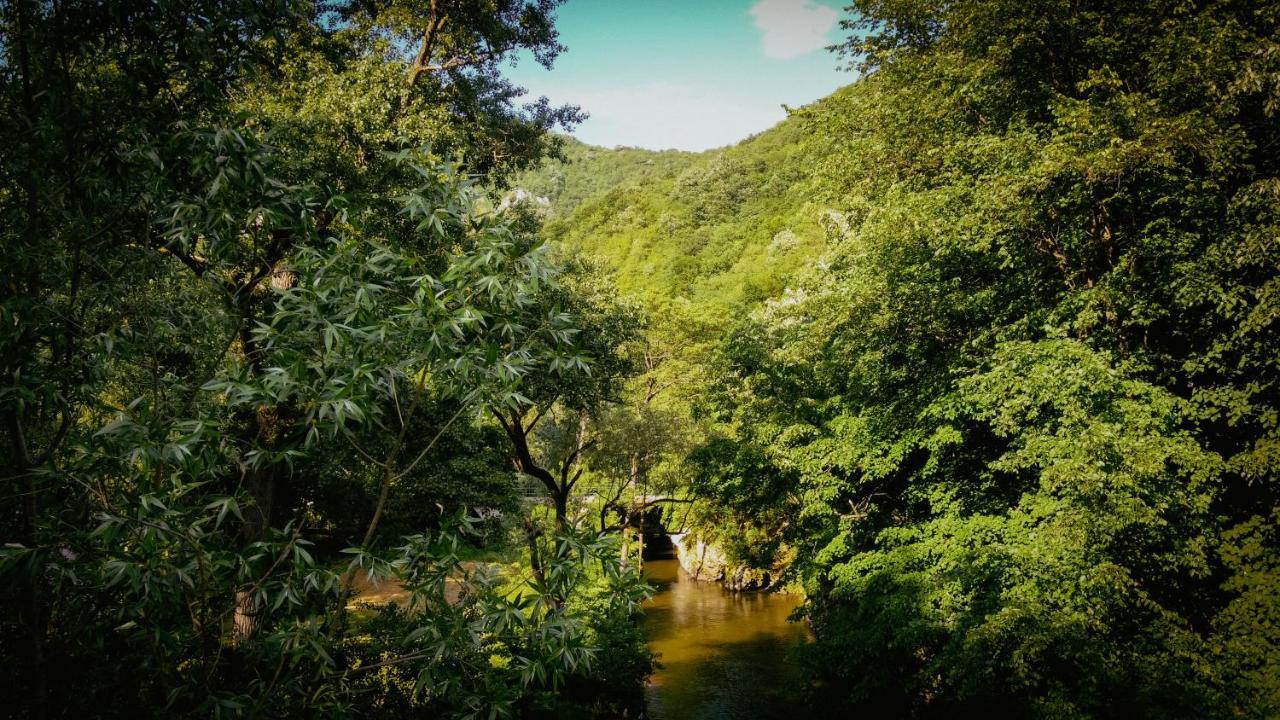 Отель Restoran Sa Prenocistem Gornjak Krepoljin Экстерьер фото