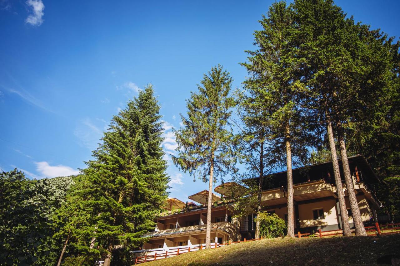 Restoran Sa Prenocistem Gornjak Krepoljin Экстерьер фото